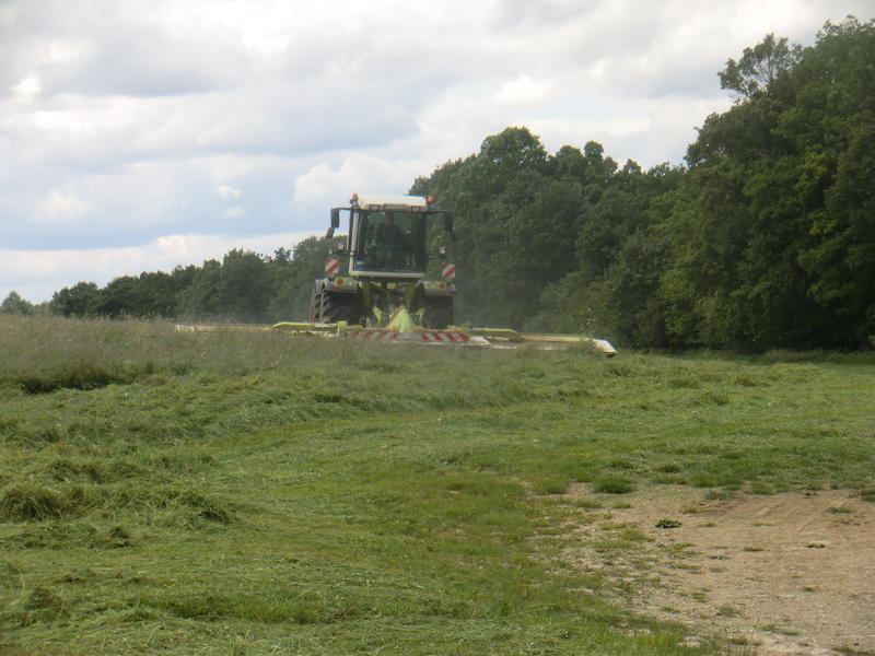 CIMG3177.jpg