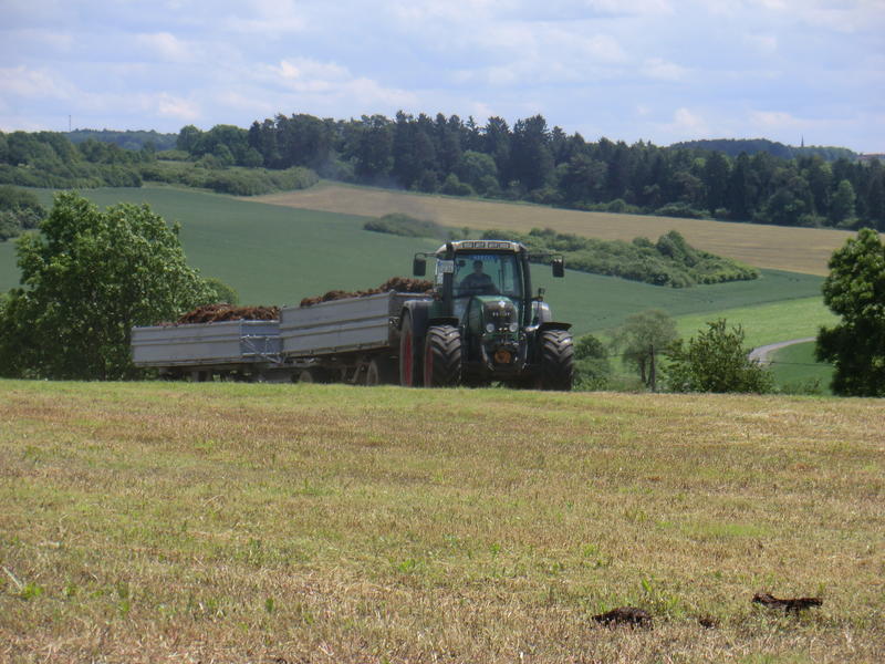 bilder/31_7_2003/mega_16.jpg