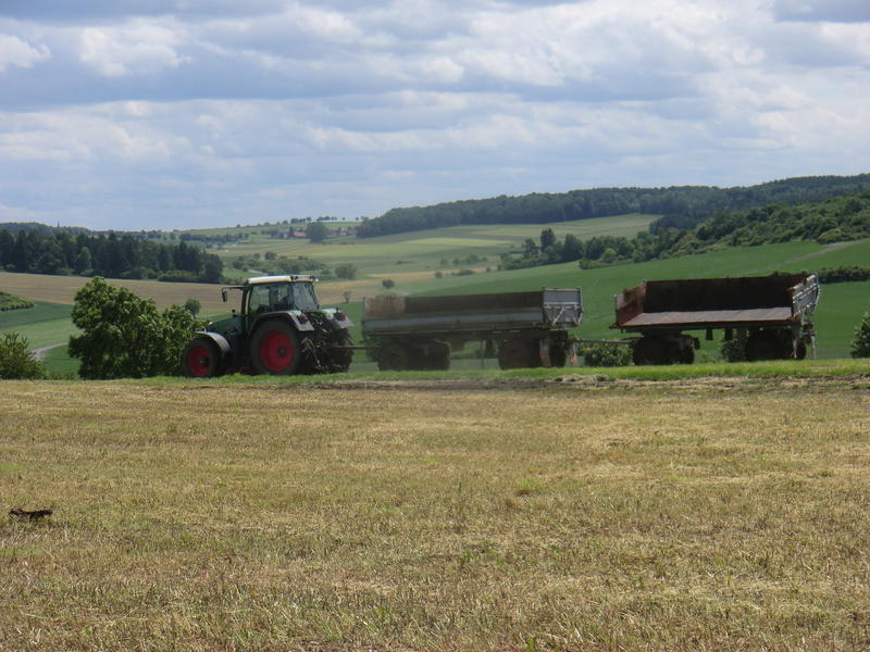 bilder/5_6_2014_2/CIMG3169.jpg