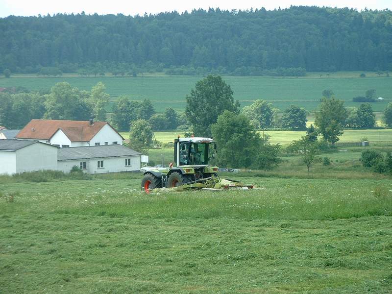 xerion_6.jpg