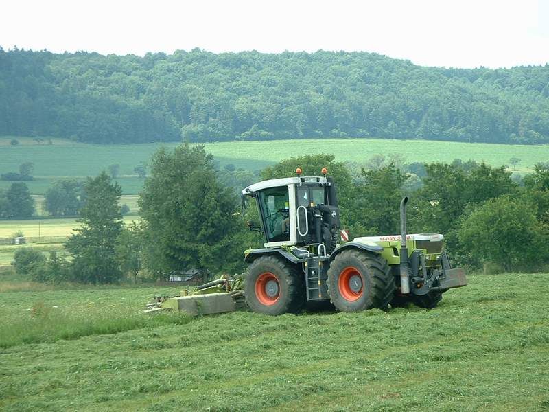 bilder/5_7_2002_1/xerion_8.jpg