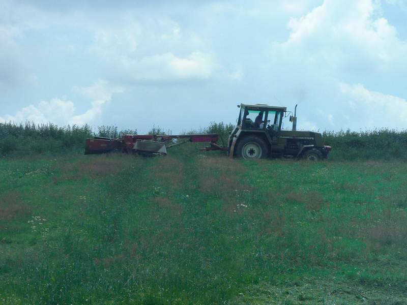 zt_323_14.jpg