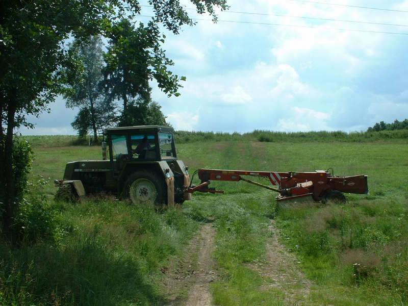 zt_323_15.jpg