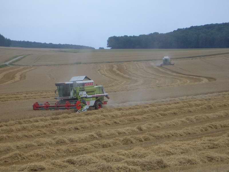 bilder/3_9_2004/mega_45.jpg