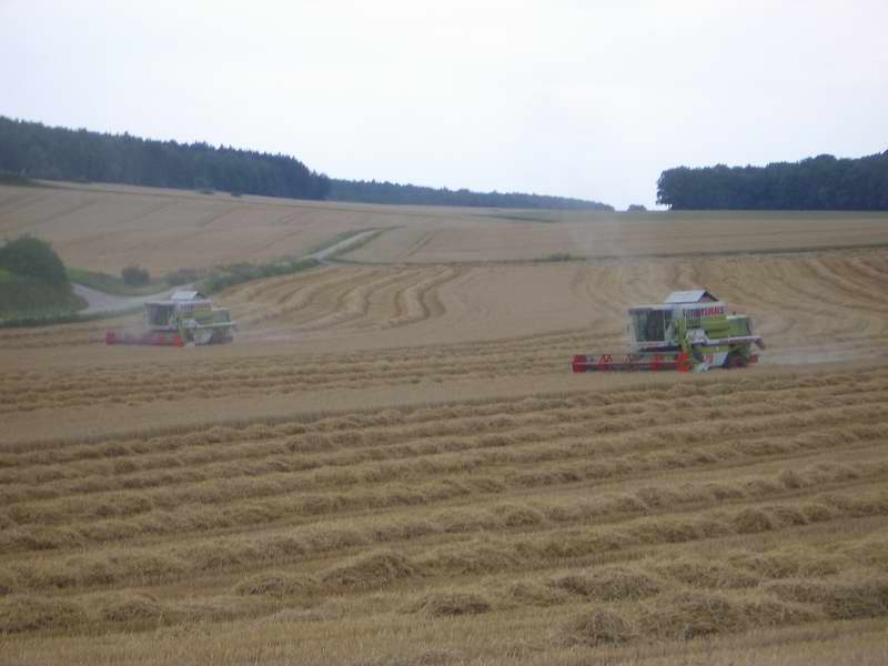 bilder/5_8_2005/2x_mega_7.jpg