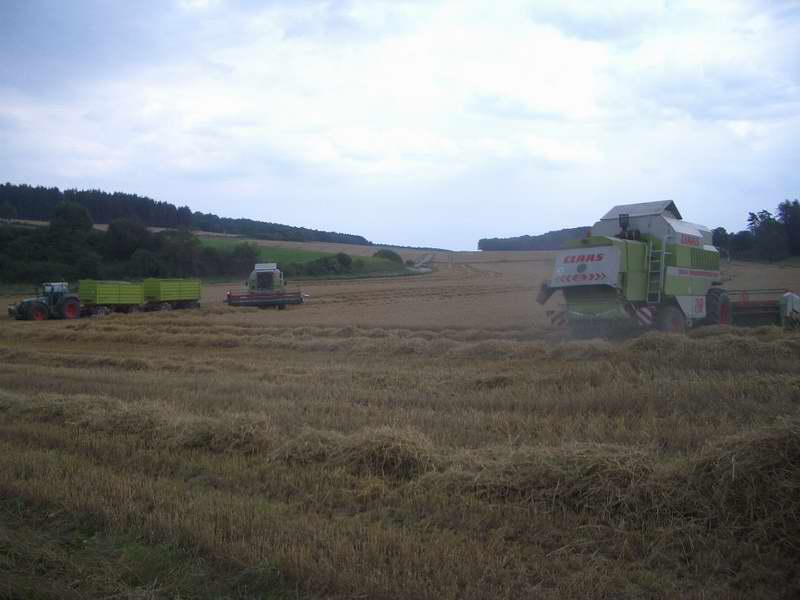 bilder/6_8_2002_3/mega_7.jpg