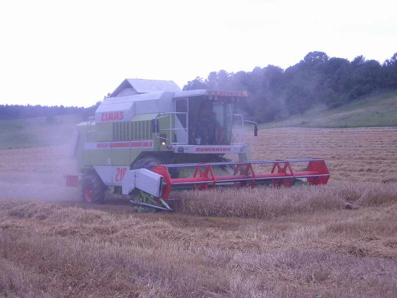 bilder/5_8_2005/mega_18.jpg