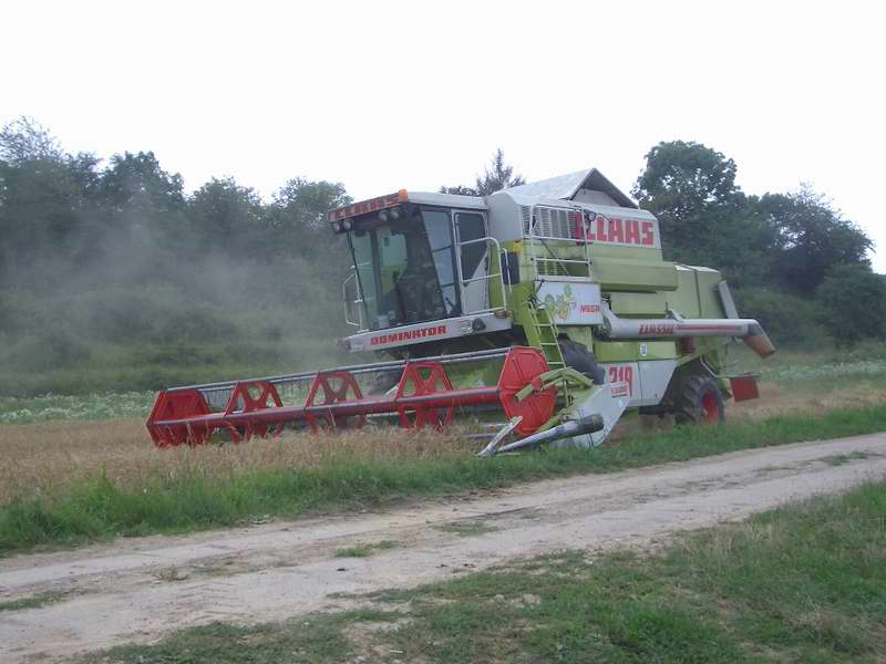 bilder/5_8_2005/mega_20.jpg