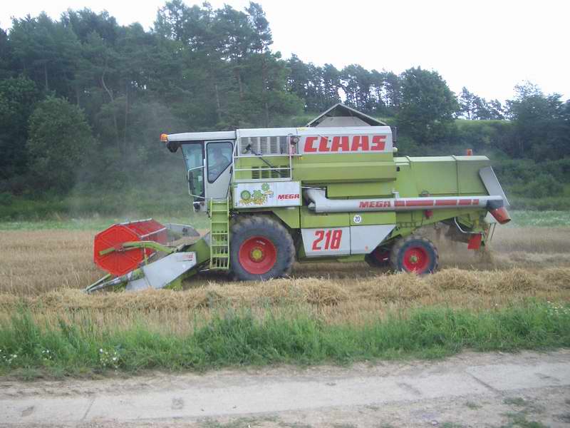 bilder/5_8_2005/mega_23.jpg