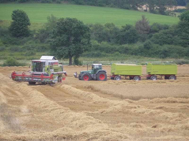 bilder/5_8_2005/mega_fendt_824_7.jpg
