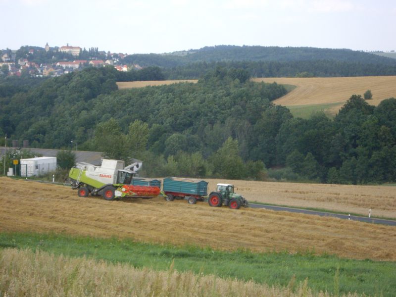 IMGP1055.jpg