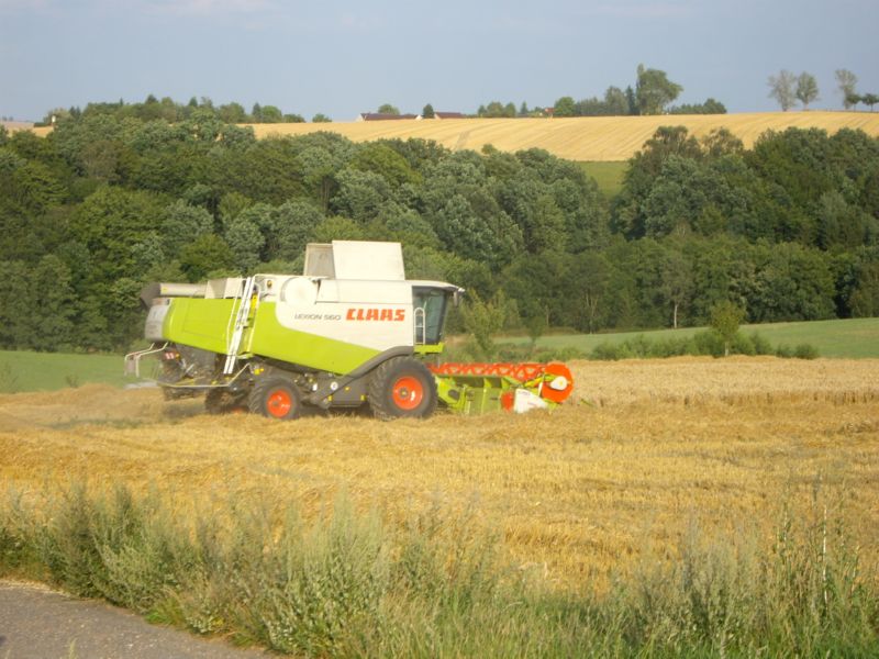 IMGP1108.jpg