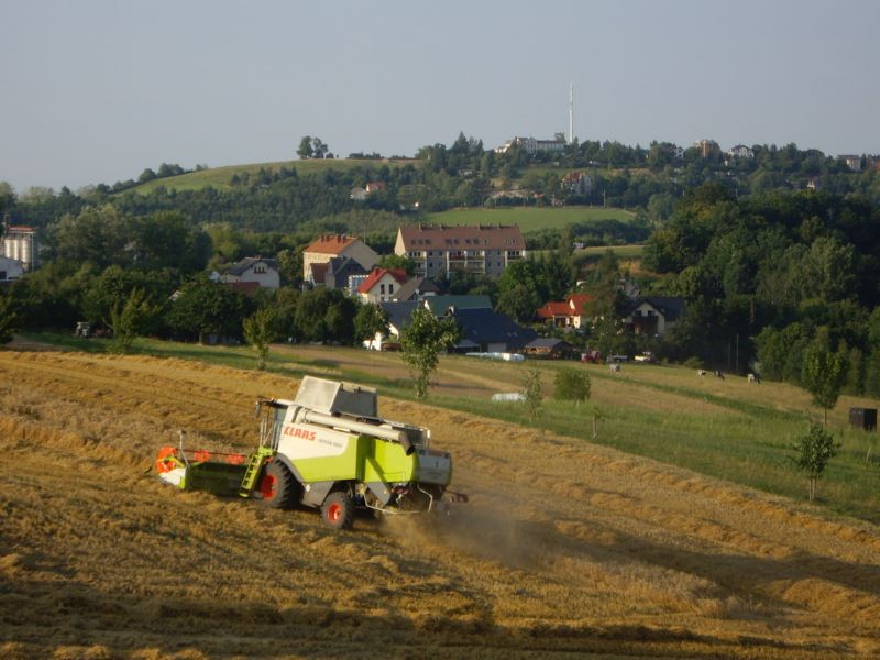 IMGP1114.jpg