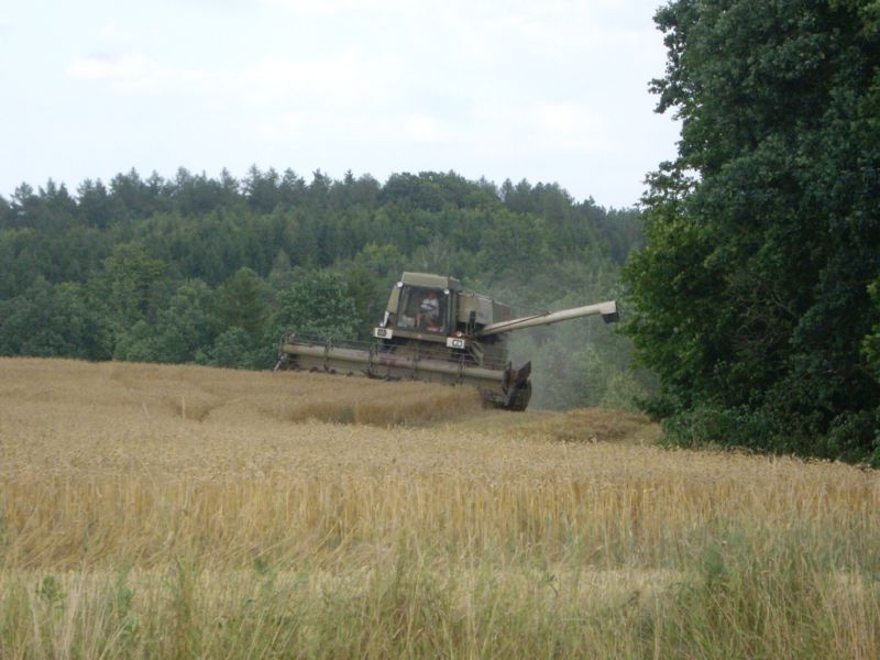bilder/4_10_2007/IMGP3286.jpg