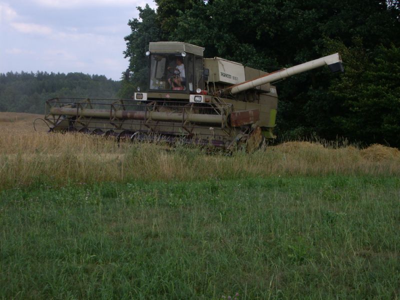 IMGP1062.jpg