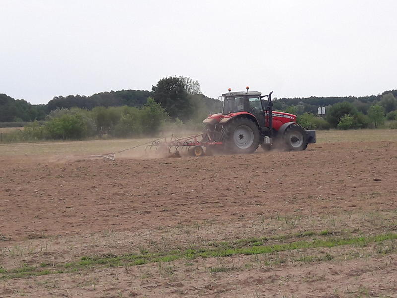 bilder/5_8_2019/20190805_113639.jpg
