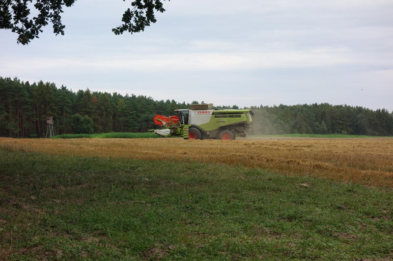 bilder/31_7_2014/CIMG7381.jpg