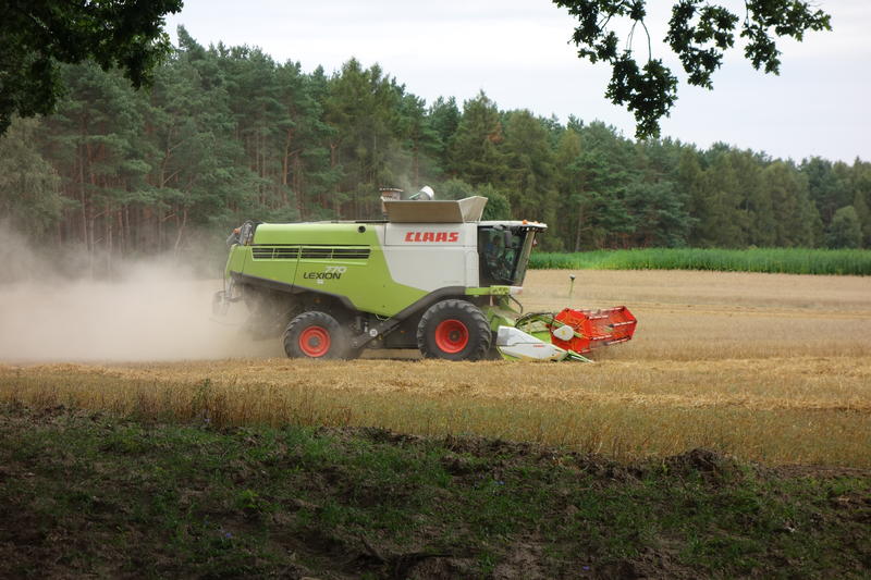 bilder/21_3_2003/fendt_824_6.jpg