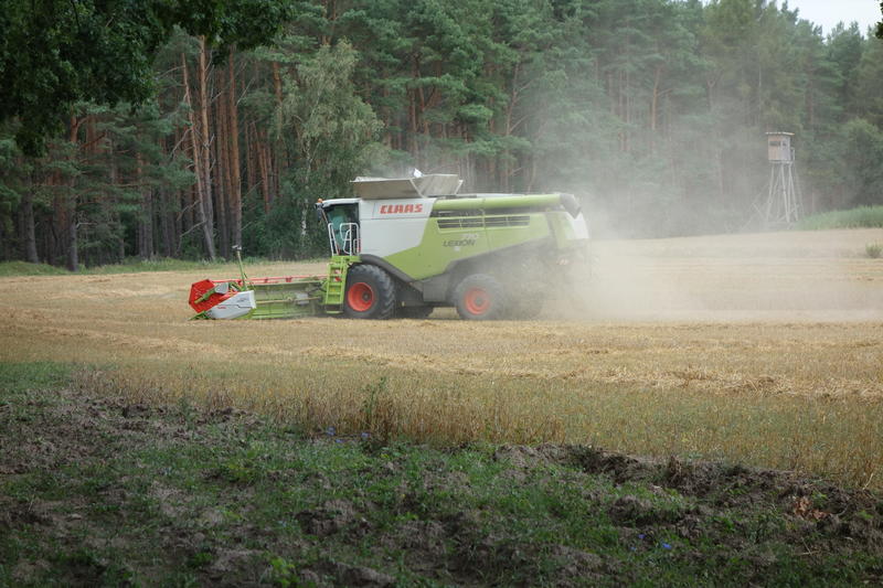 bilder/31_8_2002/fendt_716_6.jpg