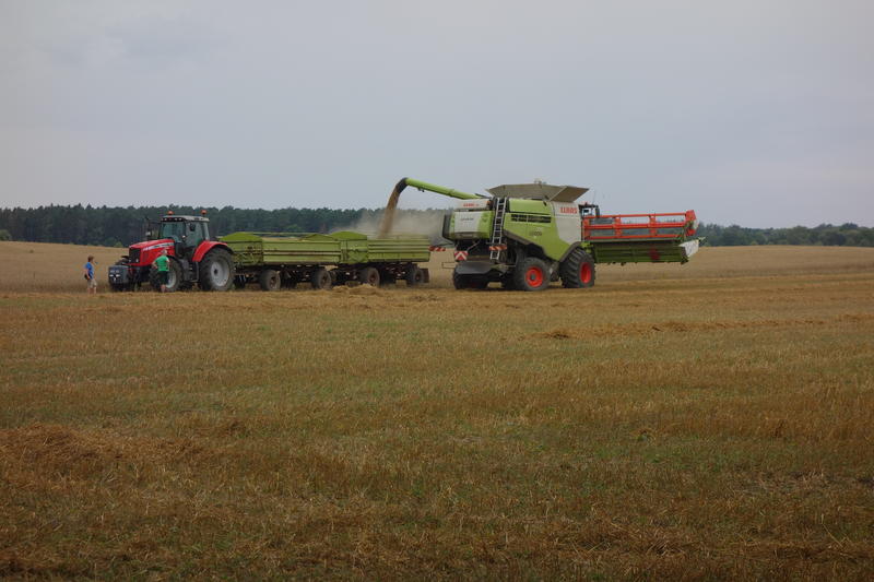 bilder/5_8_2019/20190805_113639.jpg