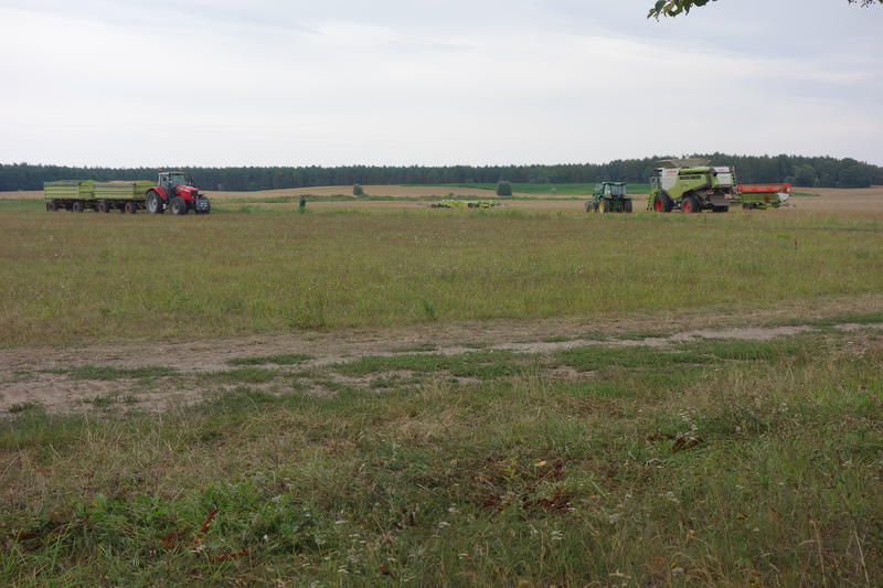 bilder/5_8_2019_2/DSC08065.jpg