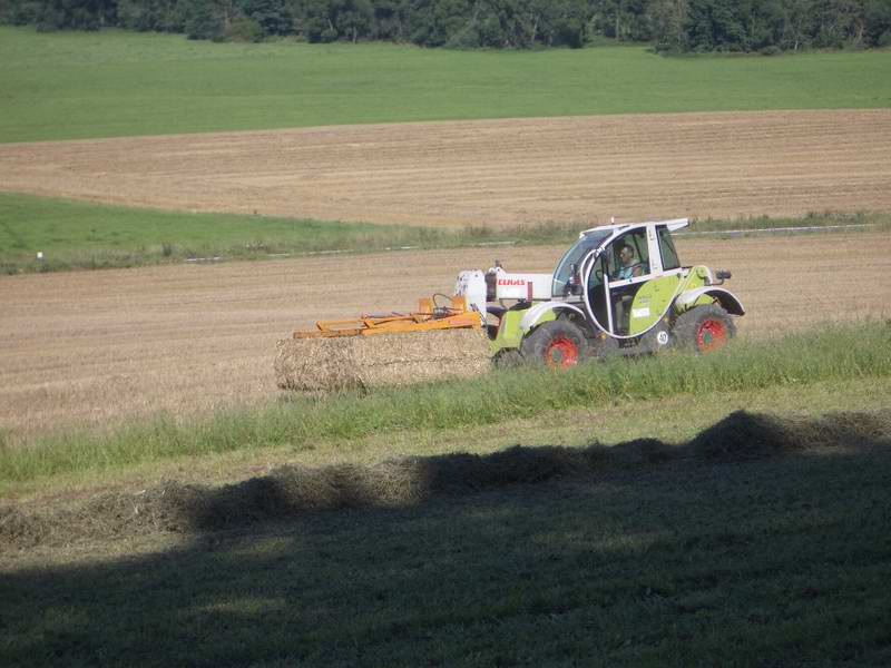 bilder/5_9_2004/targo.jpg
