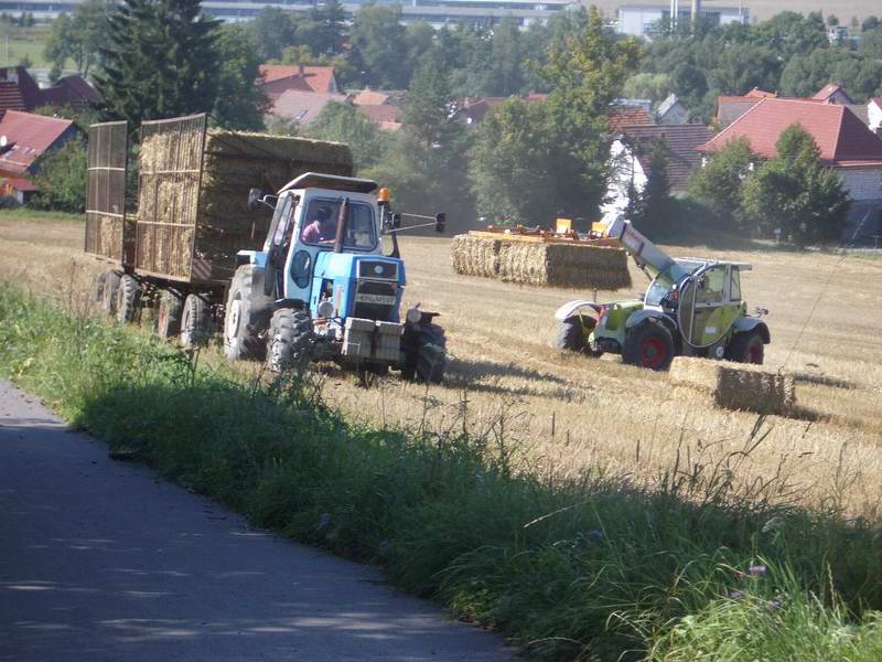 bilder/19_7_2012/CIMG9693.jpg