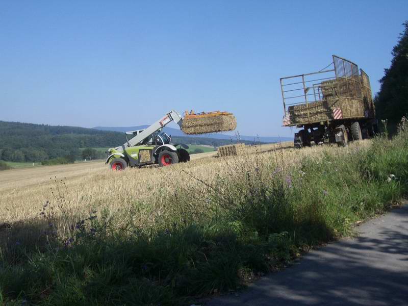 bilder/5_9_2004/targo_zt_303_17.jpg