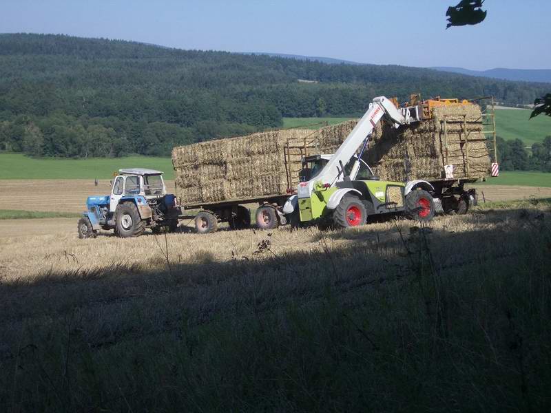 targo_zt_303_18.jpg