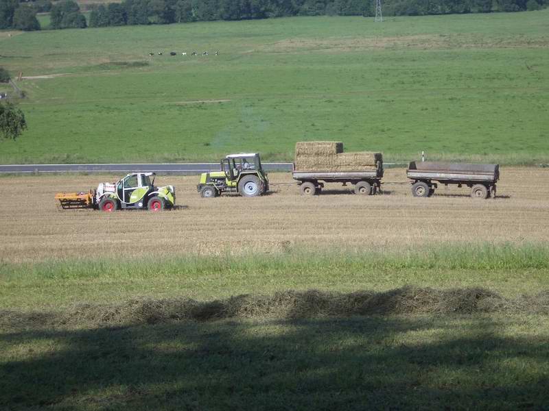 bilder/5_9_2004/targo_zt_323_2.jpg