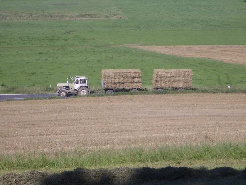 bilder/8_6_2013/CIMG7816.jpg