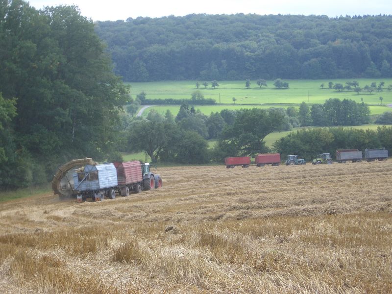 bilder/26_5_2004/jaguar_fendt_40.jpg