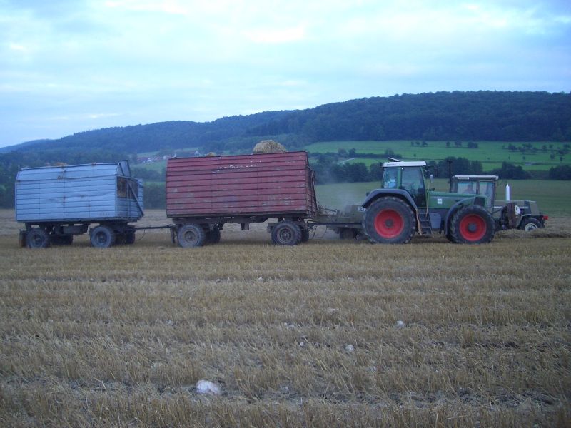 IMGP5347.jpg