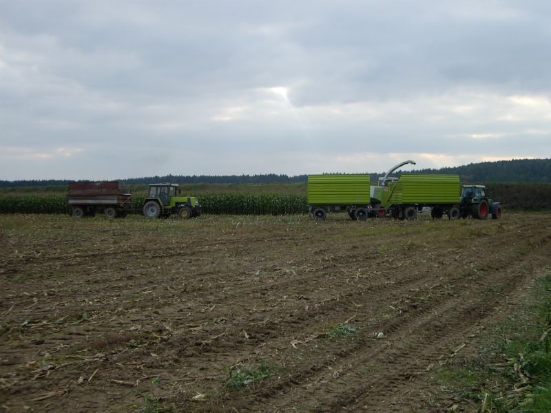 bilder/23_7_1998/e_280.jpg
