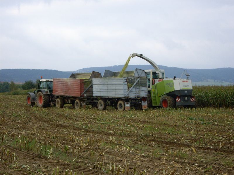 bilder/11_8_2012/CIMG0036.jpg