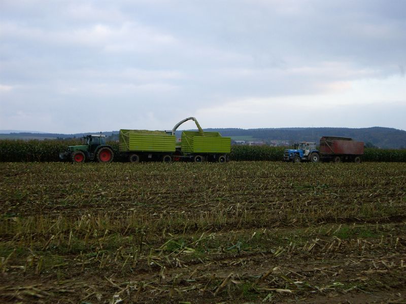 bilder/11_8_2013/CIMG8991.jpg