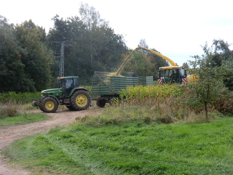 bilder/6_10_2012/CIMG1537.jpg