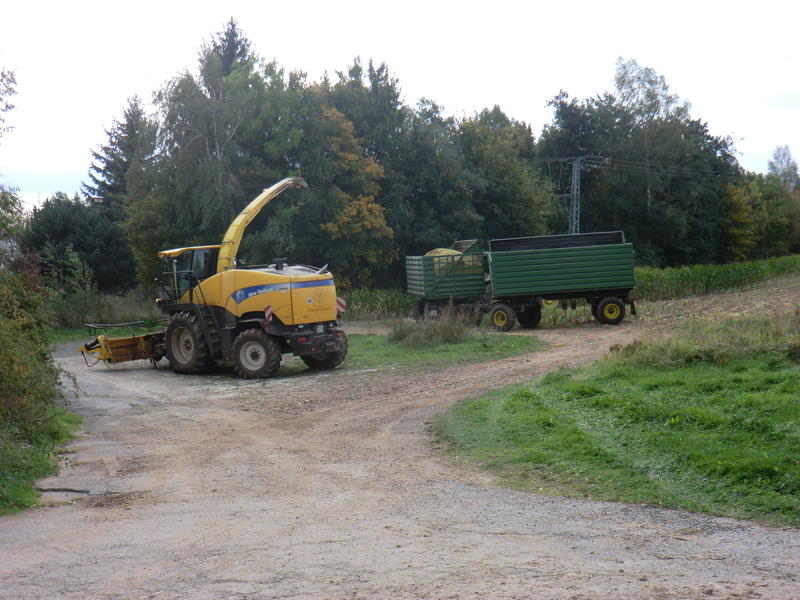 CIMG1539.jpg