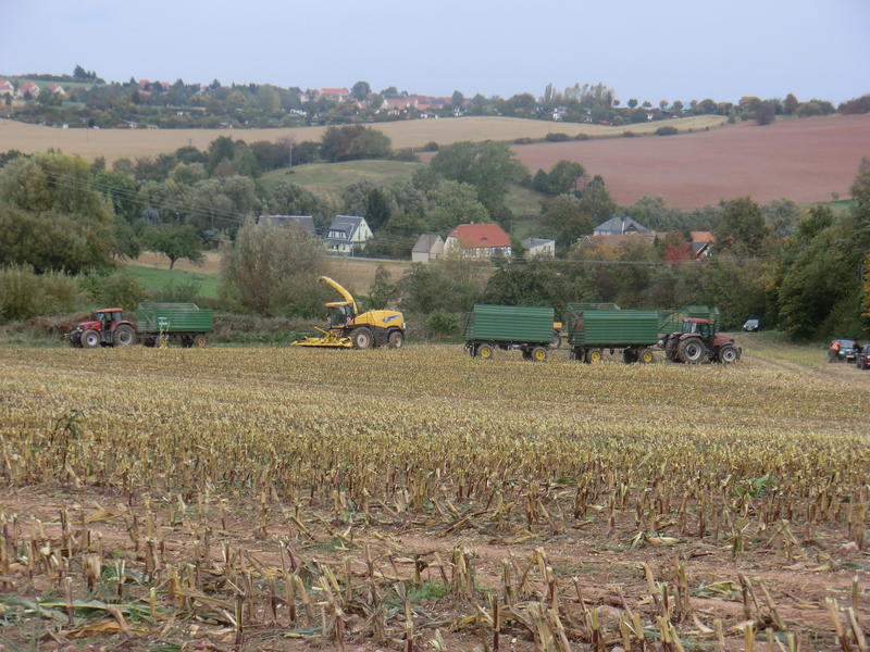 bilder/6_10_2012/CIMG1557.jpg