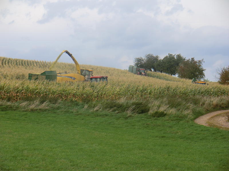 bilder/6_10_2012/CIMG1566.jpg