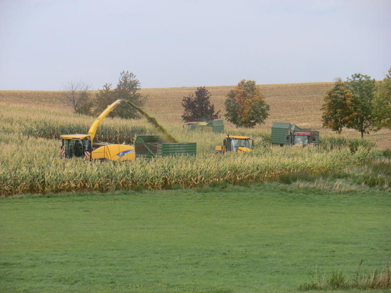CIMG1568.jpg