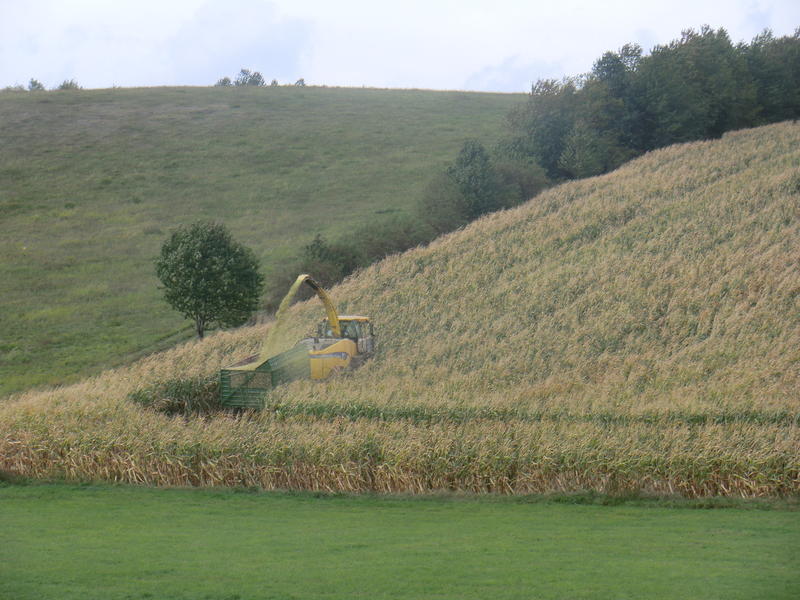 bilder/20_4_2013_2/CIMG7195.jpg