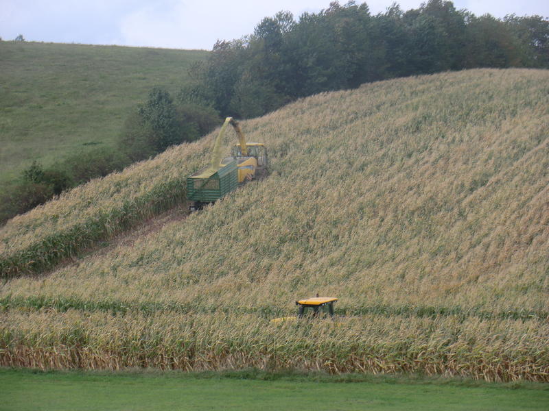 bilder/6_10_2012/CIMG1573.jpg