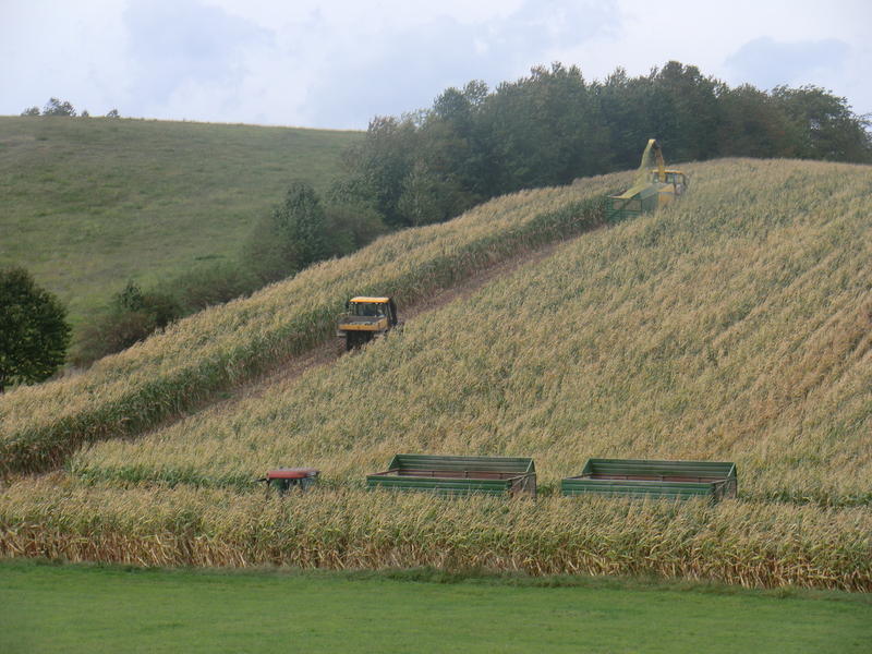 bilder/2024_07_17_3/DSC08144.jpg