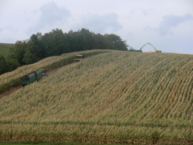 CIMG1575.jpg