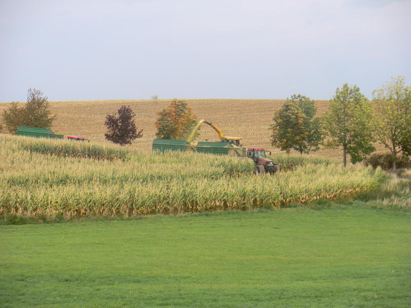 CIMG1577.jpg