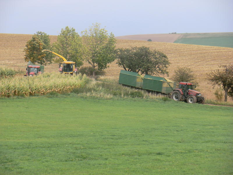 bilder/6_10_2012/CIMG1579.jpg