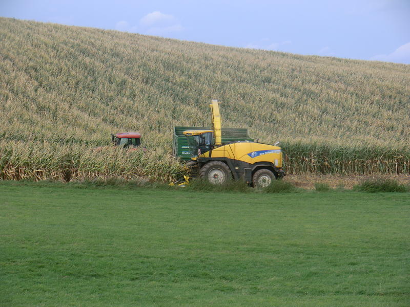 bilder/6_10_2012/CIMG1582.jpg