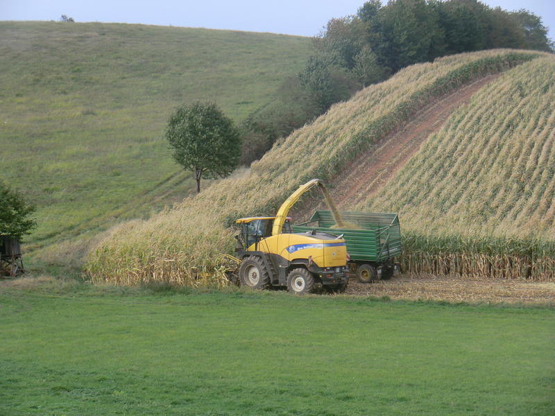bilder/6_10_2012/CIMG1583.jpg