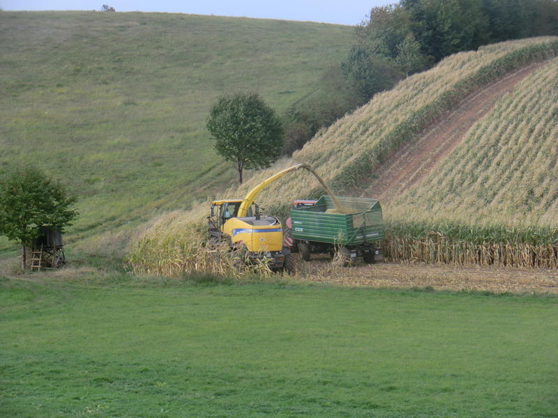 bilder/6_10_2012/CIMG1584.jpg